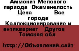 Аммонит Мелового периода. Окаменелость. › Цена ­ 2 800 - Все города Коллекционирование и антиквариат » Другое   . Томская обл.